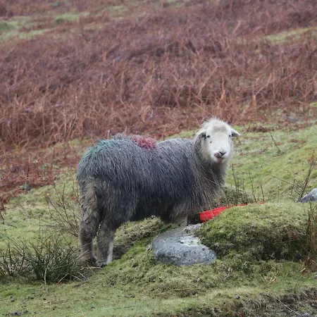 Dalesway Holiday home